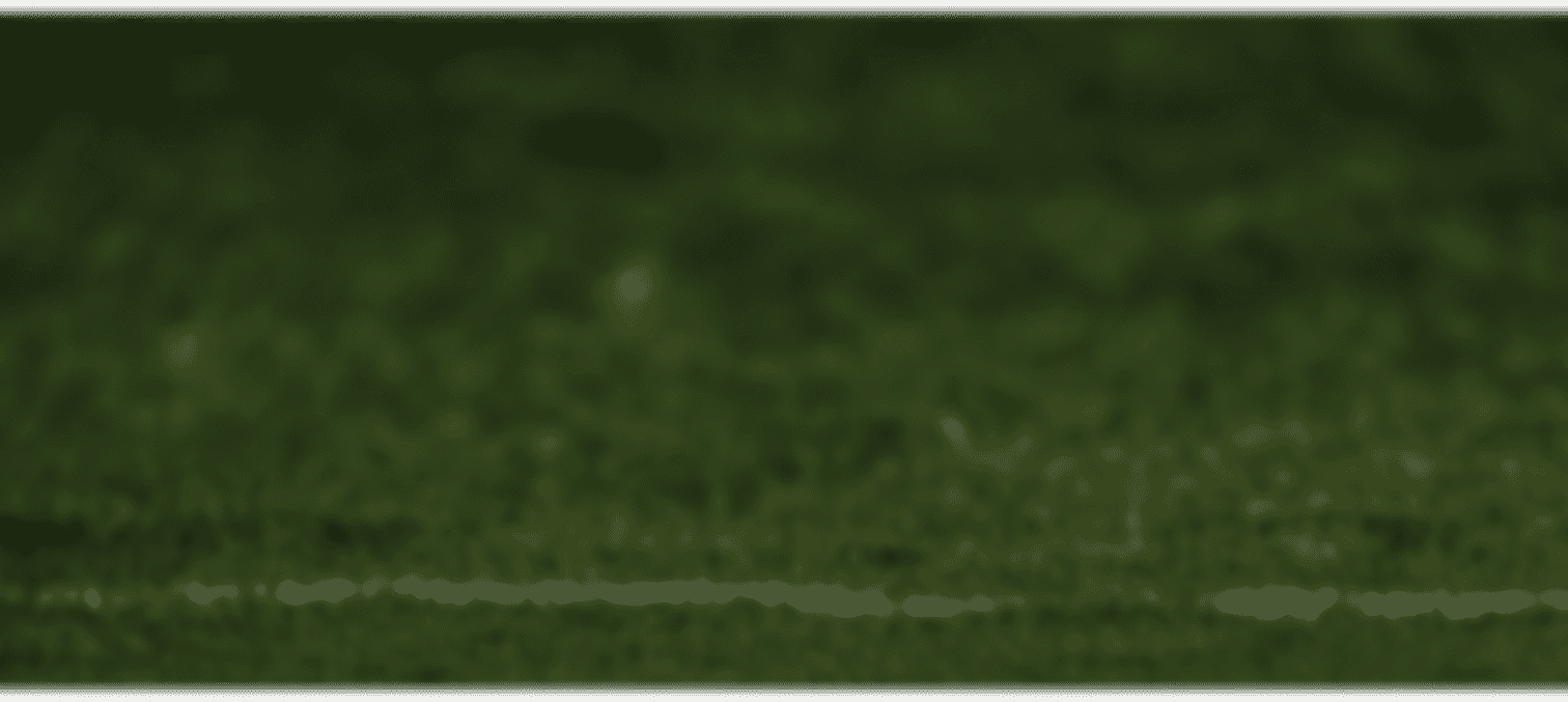 Bannière décorative FlyZone Ultimate